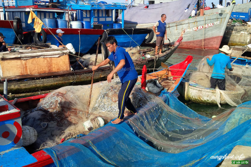chợ cá nằm ngay cầu cảng Lý Sơn