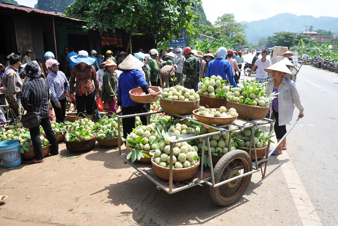 Chợ na Lạng Sơn tấp nập vào mùa