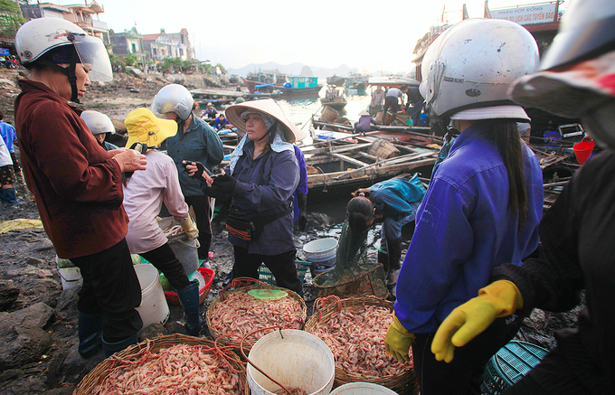 Chợ hải sản tấp nập trên cầu cảng ra đảo Cô Tô