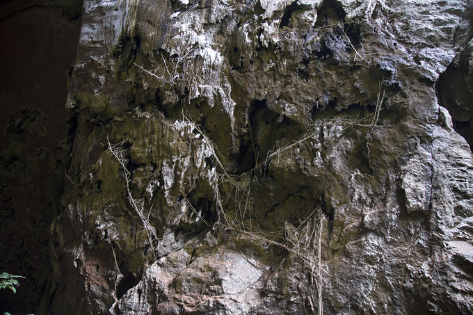 Quảng Bình mở tour thám hiểm đến hang lớn thứ tư thế giới