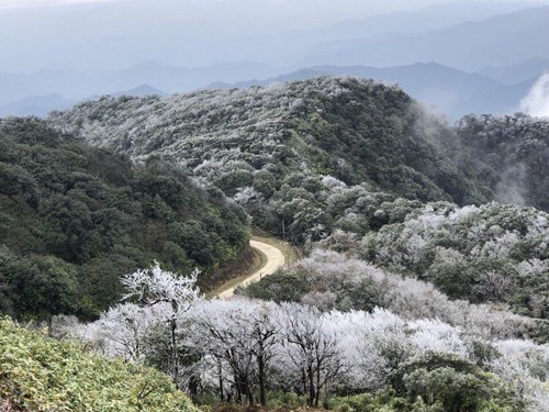 Nhiệt độ xuống thấp khiến hiện tượng băng giá xuất hiện ở đỉnh Phia Oắc, huyện Nguyên Bình, tỉnh Cao Bằng từ đêm 8/1. Đây là đỉnh núi cao nhất của tỉnh, 1.900 m, thuộc Công viên địa chất Cao Bằng.
