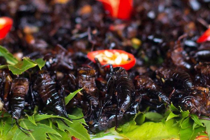 Dế xào sả ớt - món ăn níu chân du khách ở Lâm Đồng