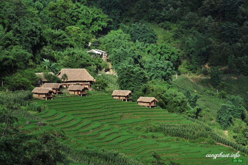 ngủ nhà sàn ở Phương Độ, Hà Giang - Ảnh 3