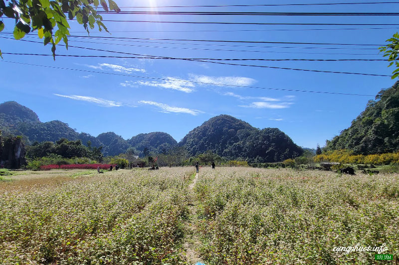 Cụm đá thiêng trấn giữ cửa ngõ cao nguyên đá 2