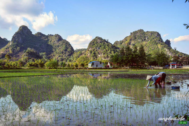 Núi Cô Tiên - Quản Bạ Ảnh 3